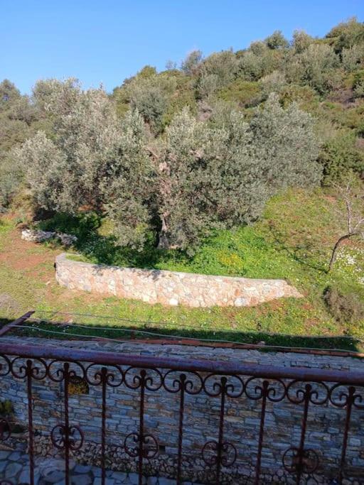 Παραθαλασσιο Σπιτι Στην Εξοχη Βίλα Tsakei Εξωτερικό φωτογραφία