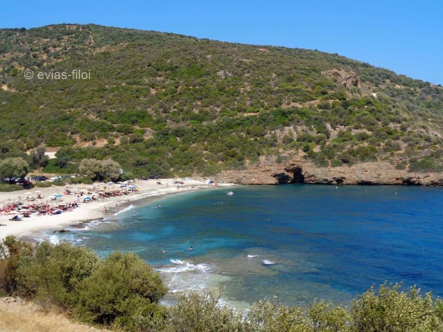 Παραθαλασσιο Σπιτι Στην Εξοχη Βίλα Tsakei Εξωτερικό φωτογραφία